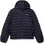 Lacoste Parka & Giubbotti Uomo